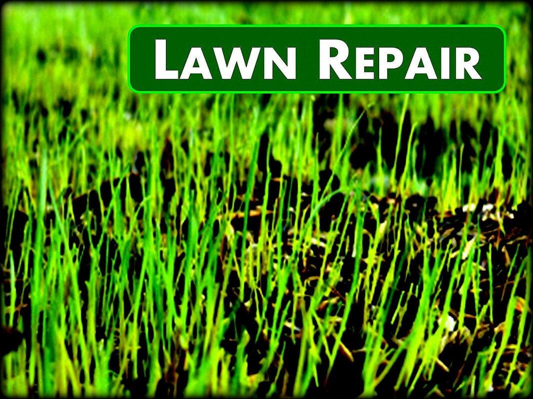 Jons Lawns of Annapolis - Lawn Rejuvenation - Lawn Care